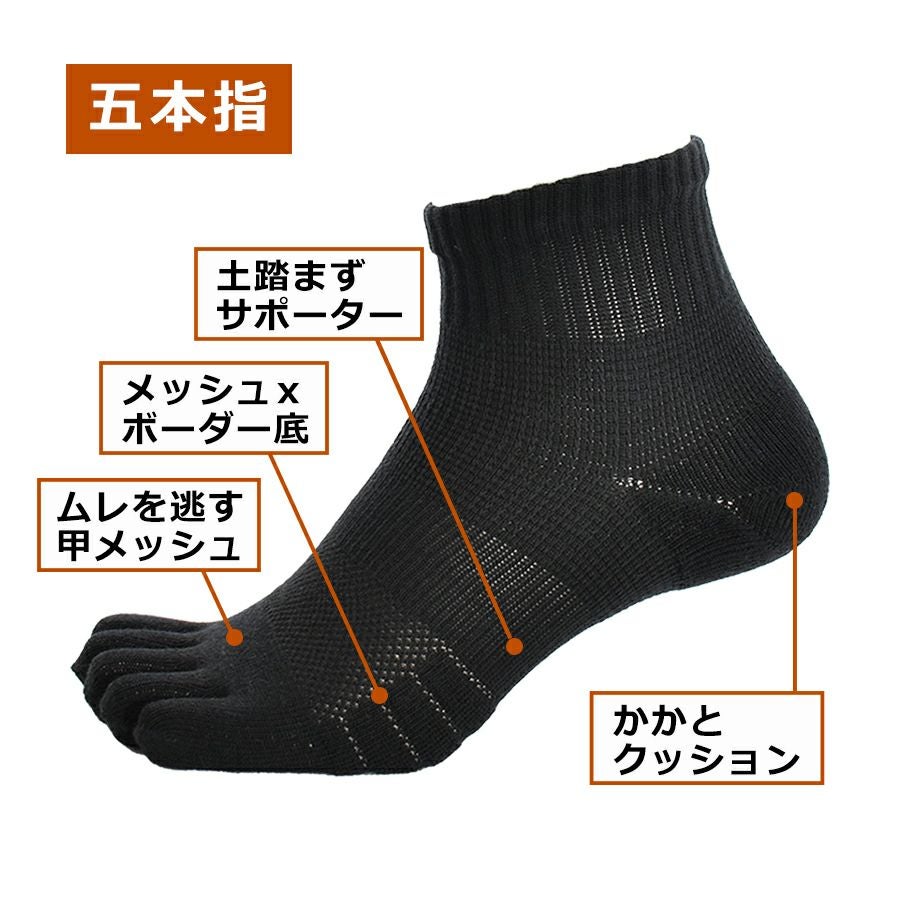 000000003812-04.jpg?size=l&w=