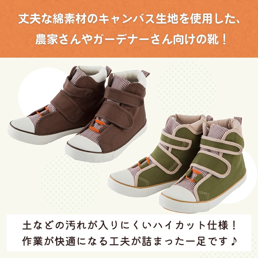 000000004314-02.jpg?size=l&w=