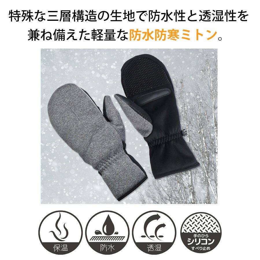 000000005005-02.jpg?size=l&w=