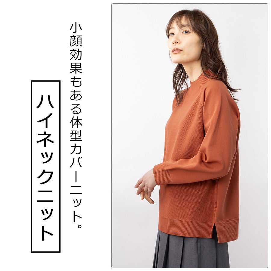 ハミューレ SOLOTEX(R)使用 レディース ウォッシャブルハイネック